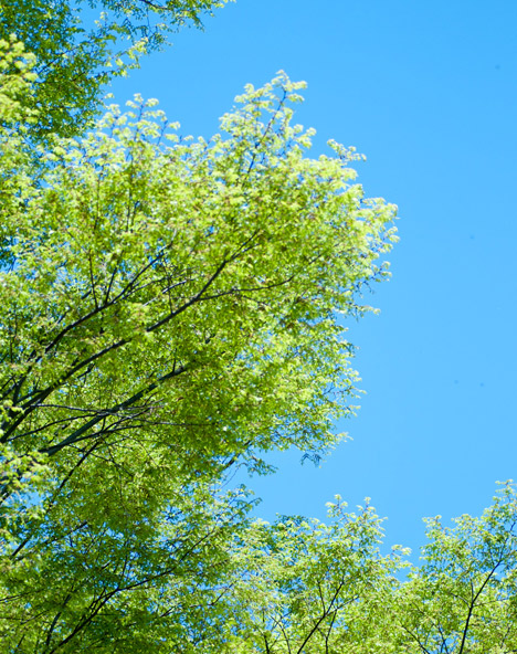 オオイコーポレーション株式会社