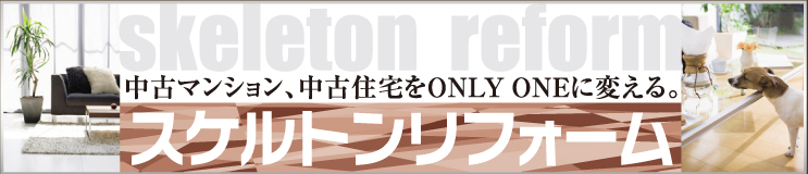 スケルトンリフォームについて