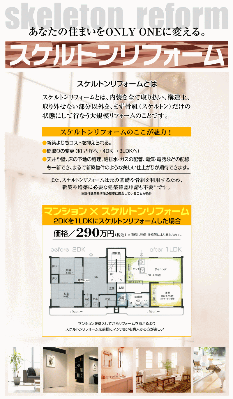 スケルトンリフォーム